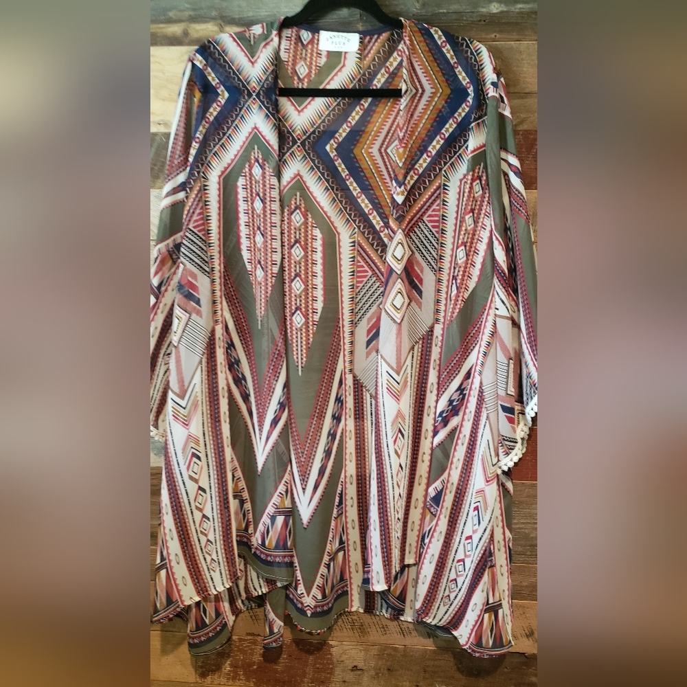 Plus sz tunic sheer